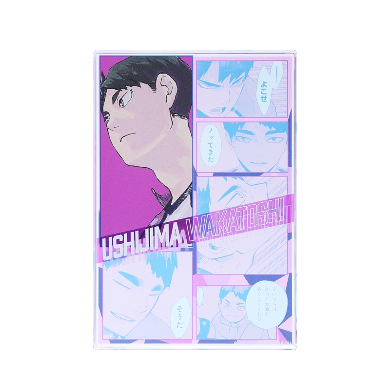 『ハイキュー！！』アクリルブロック　“ＨＥＲＯＥＳ”　牛島若利　ＢＥ３