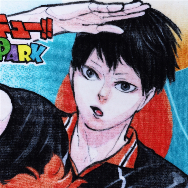 『ハイキュー！！』フルカラーフェイスタオル　キービジュアル　＜ハイキュー！！　ＦＡＮ　ＰＡＲＫ＞　ＢＥ２