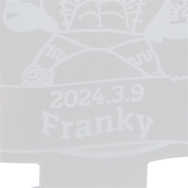 『ＯＮＥ　ＰＩＥＣＥ』バースデイペンライト　フランキー　（ＪＣＳ限定Ｖｅｒ．）　ＢＤ１