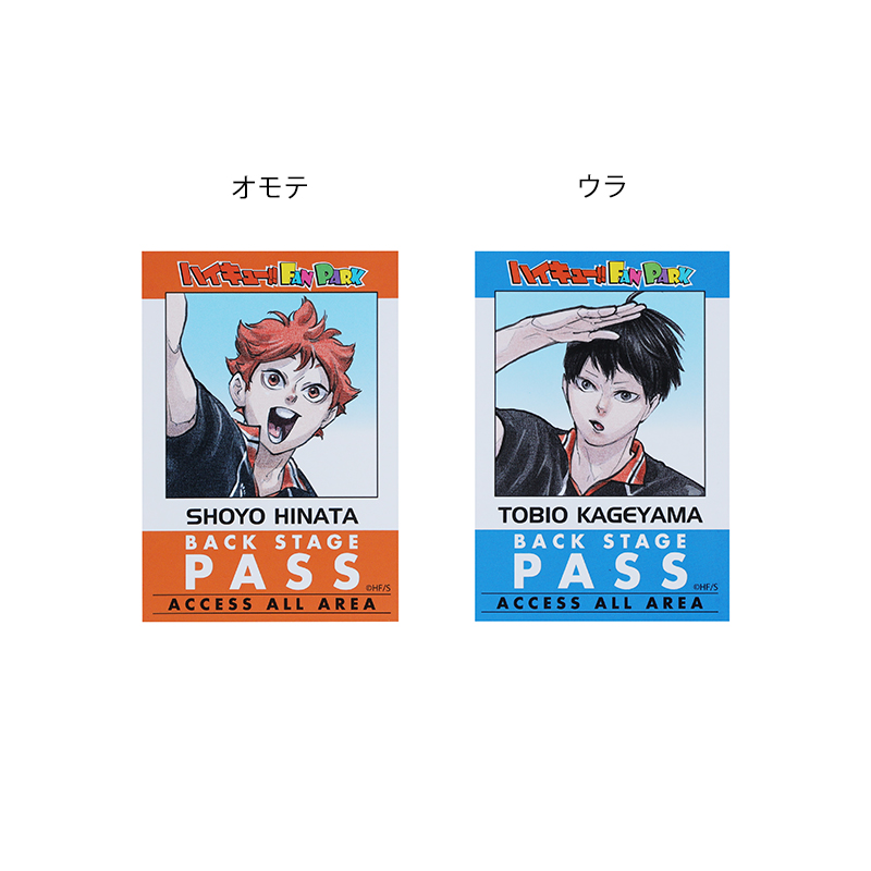 『ハイキュー！！』チケットホルダー＆カードホルダー（チケット風カード１枚＆バックステージパス風カード１枚入り）　キービジュアル　＜ハイキュー！！　ＦＡＮ　ＰＡＲＫ＞　ＢＥ２