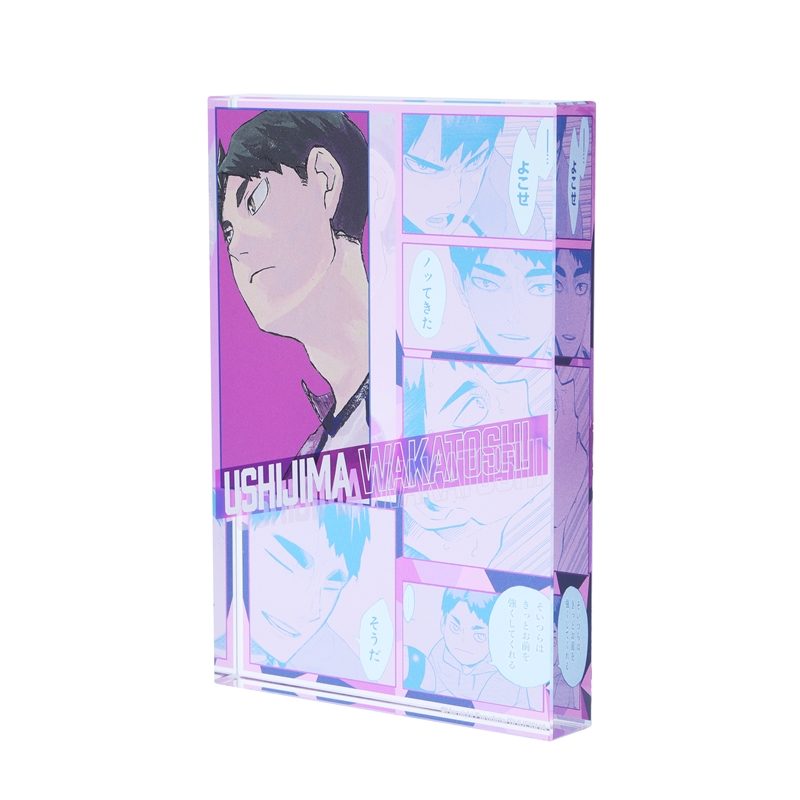 『ハイキュー！！』アクリルブロック　“ＨＥＲＯＥＳ”　牛島若利　ＢＥ３